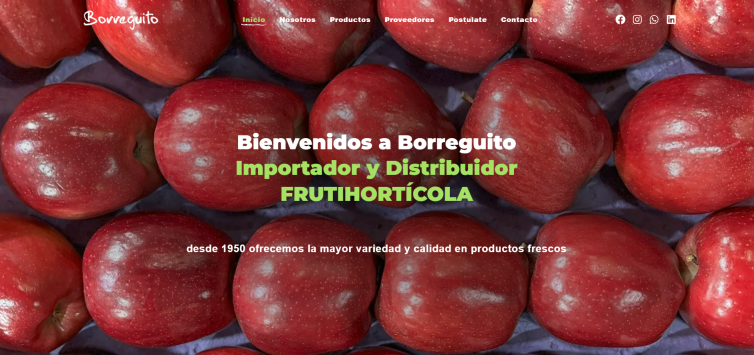 borreguito